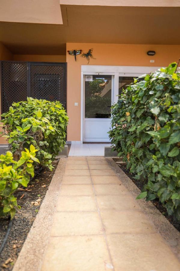 Apartamento Las Vistas 3 コラレホ エクステリア 写真